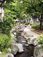 PARK.JPG